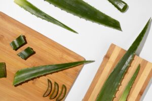 Vue de dessus du concept de beauté à l'aloe vera 