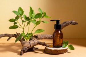 Belle nature morte aux plantes médicinales
